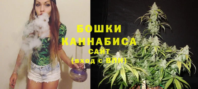 Каннабис OG Kush  наркота  Люберцы 